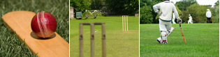 Images of English Cricket