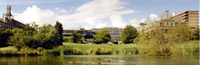 students on campus